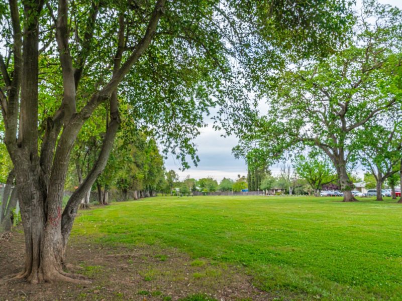 Federspiel Park
