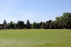 Larchmont Community Park field