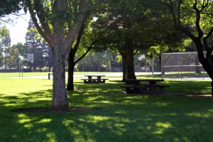 Riviera East Park