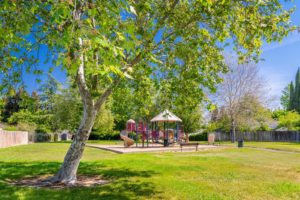 Rosswood Park playground